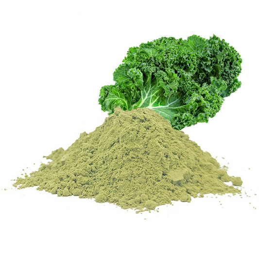 Premium Dehydrated Green Food Fat-Loss Meal Replacement Organic Kale Powder