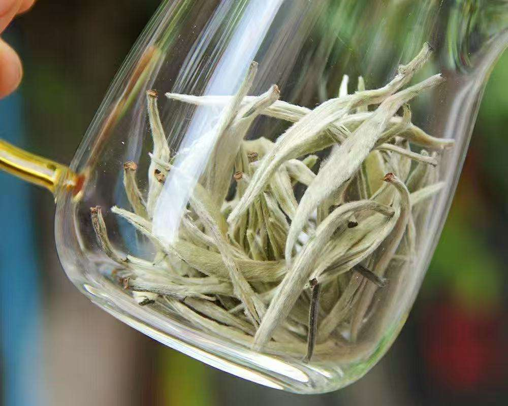 White tea single bud big bud head white dragon beard white silver needle moonlight beauty 500g tea
