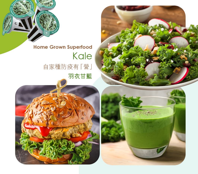 Premium Dehydrated Green Food Fat-Loss Meal Replacement Organic Kale Powder