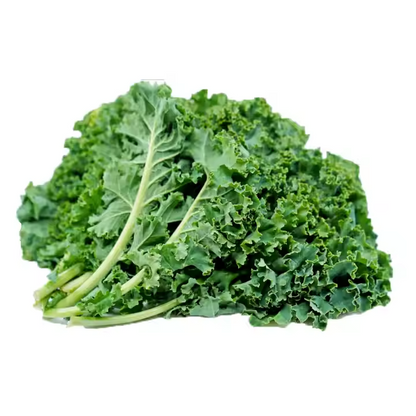 Premium Dehydrated Green Food Fat-Loss Meal Replacement Organic Kale Powder