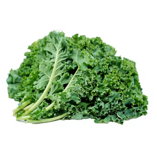 Premium Dehydrated Green Food Fat-Loss Meal Replacement Organic Kale Powder