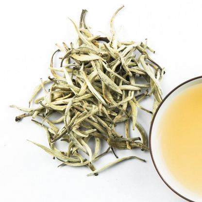 White tea single bud big bud head white dragon beard white silver needle moonlight beauty 500g tea