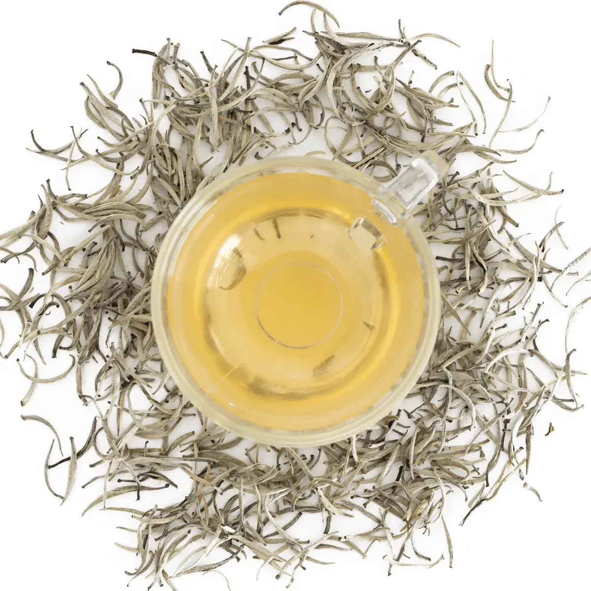 White tea single bud big bud head white dragon beard white silver needle moonlight beauty 500g tea