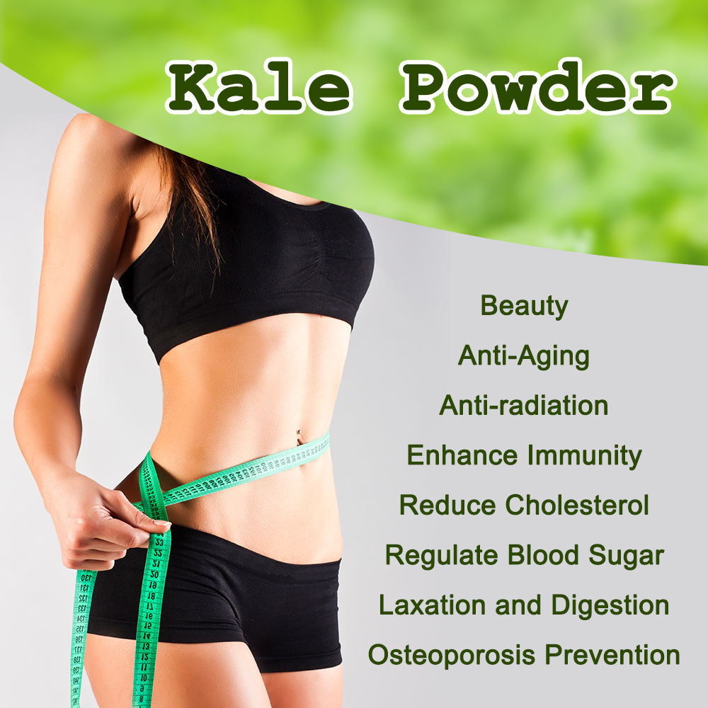 Premium Dehydrated Green Food Fat-Loss Meal Replacement Organic Kale Powder