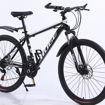 Mountain bike 26 inch Mtb bicycle dual disc brake suspension fork 21 speed mountain bike